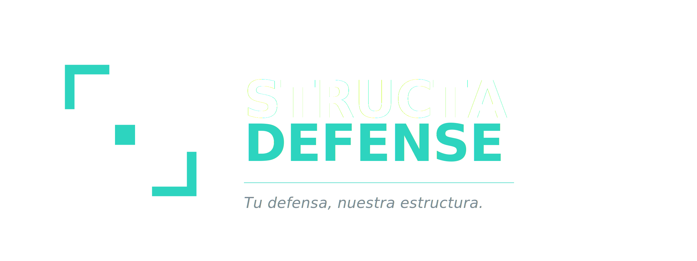Structa Defense Invoice