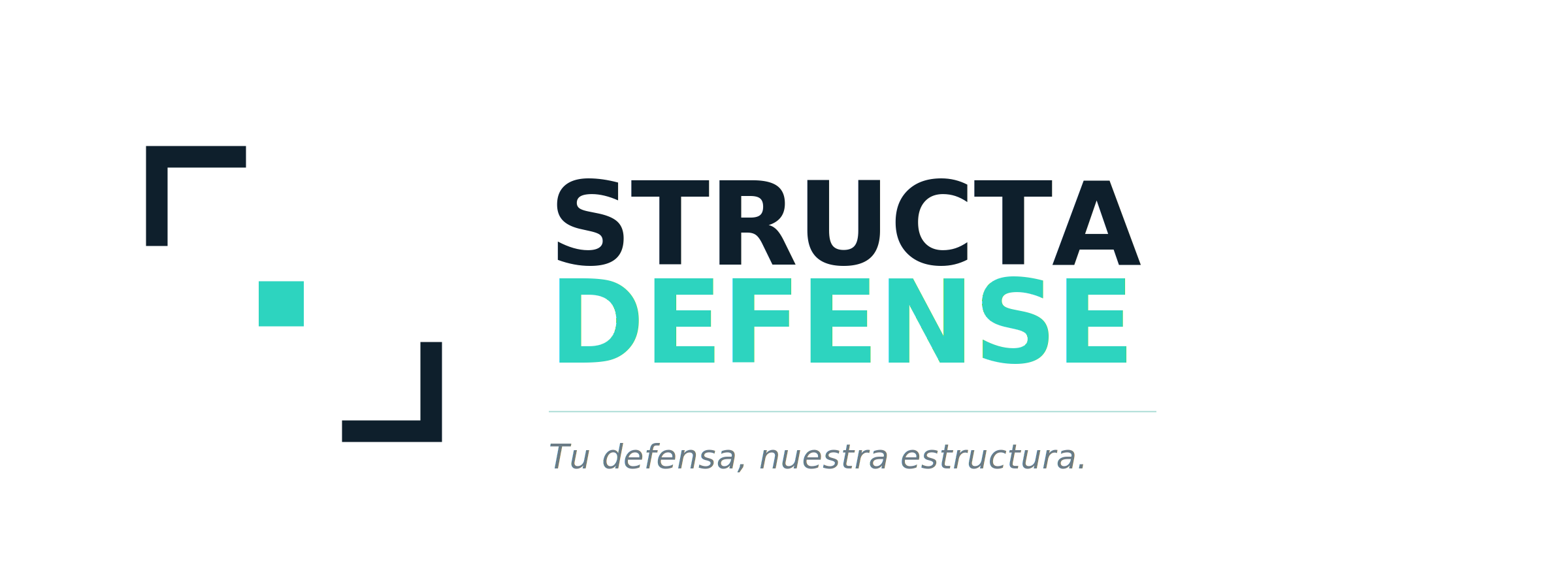Structa Defense Invoice